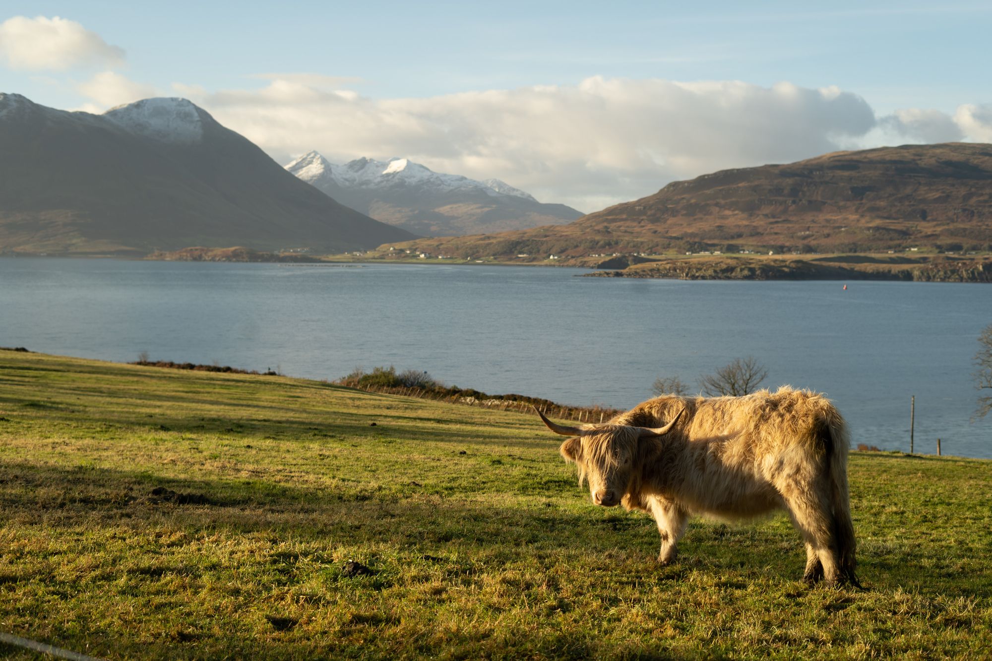 Raasay While We Wait launches in the US!